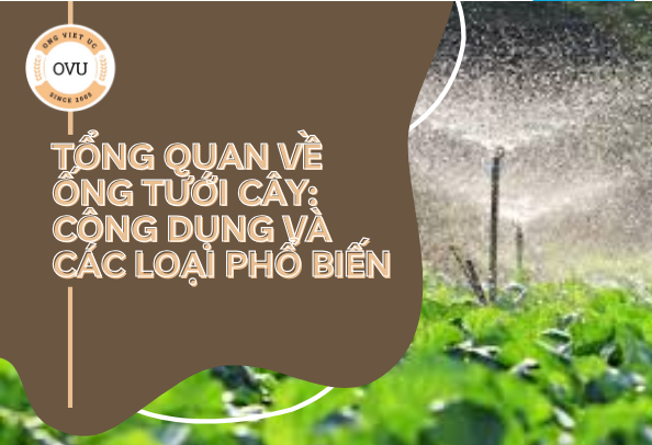 Tổng quan về ống tưới cây: Công dụng và các loại phổ biến