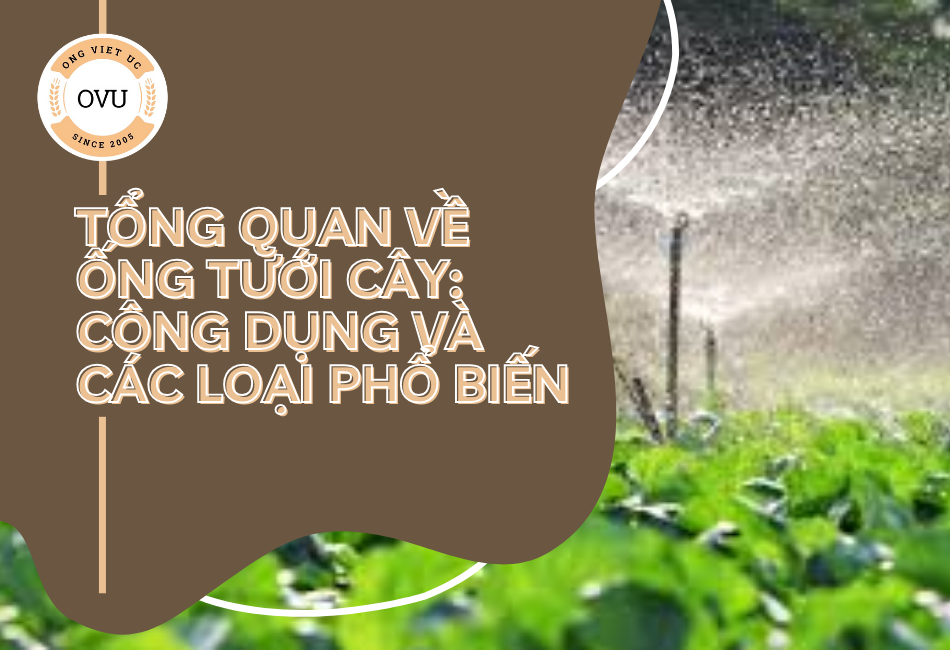 Tổng quan về ống tưới cây: Công dụng và các loại phổ biến