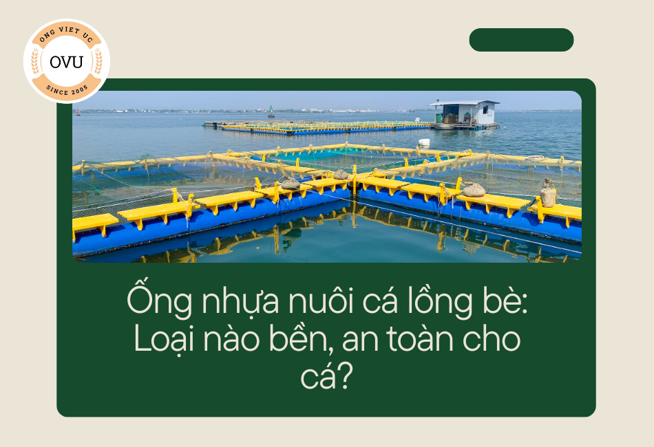 Ống nhựa nuôi cá lồng bè: Loại nào bền, an toàn cho cá?