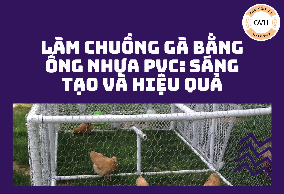 Làm chuồng gà bằng ống nhựa PVC: Sáng tạo và hiệu quả