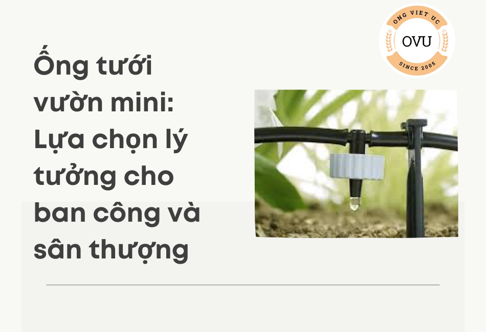 Ống tưới vườn mini: Lựa chọn lý tưởng cho ban công và sân thượng