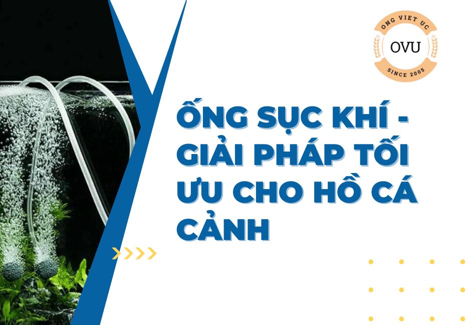 Ống sục khí - Giải pháp tối ưu cho hồ cá cảnh
