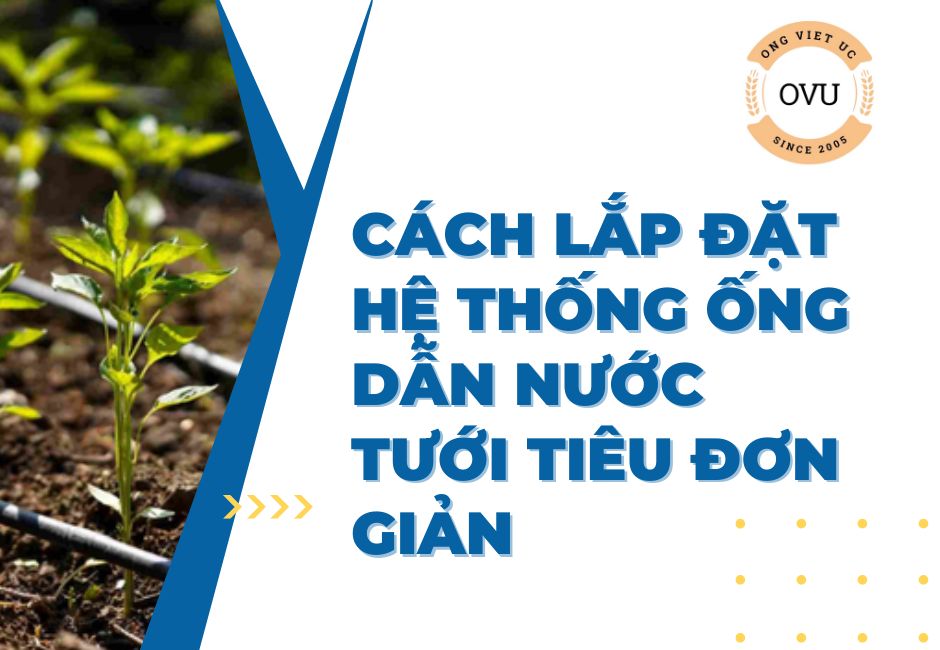 Cách lắp đặt hệ thống ống dẫn nước tưới tiêu đơn giản