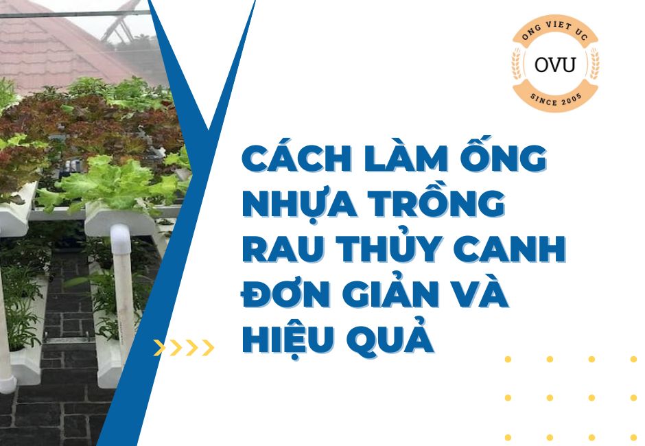 Cách làm ống nhựa trồng rau thủy canh đơn giản và hiệu quả