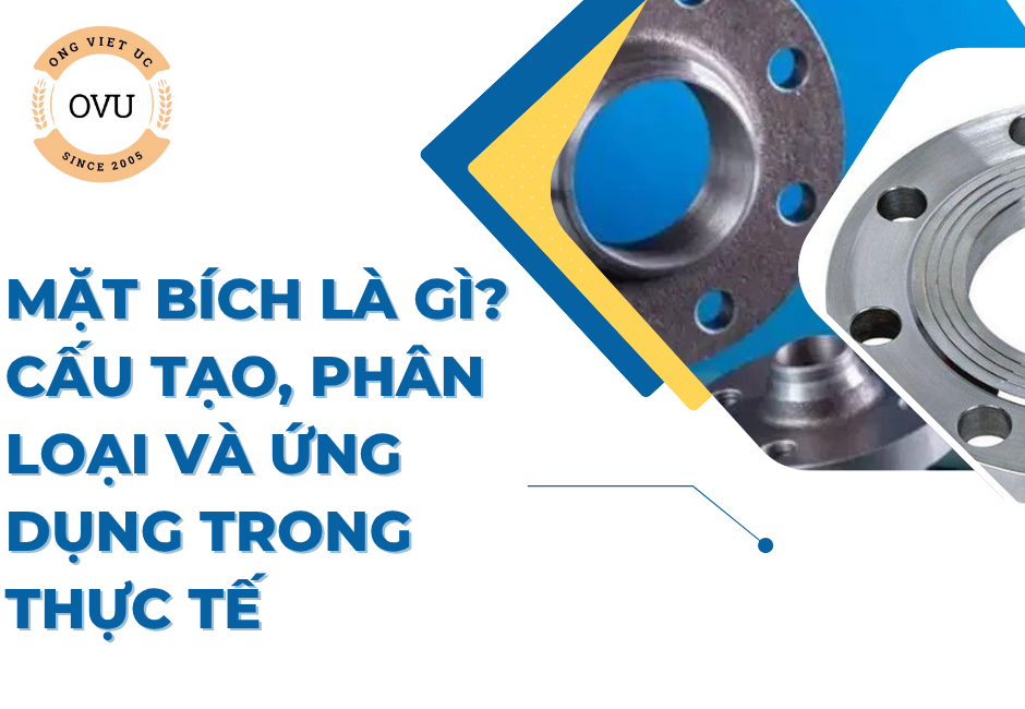 Mặt bích là gì? Cấu tạo, phân loại và ứng dụng trong thực tế