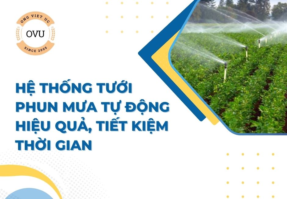 Hệ thống tưới phun mưa tự động hiệu quả, tiết kiệm thời gian