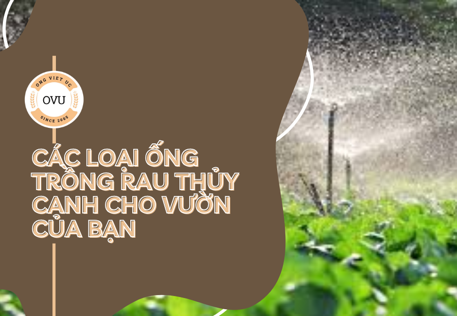 Các loại ống trồng rau thủy canh cho vườn của bạn