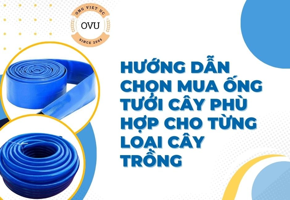 Hướng dẫn chọn mua ống tưới cây phù hợp cho từng loại cây trồng