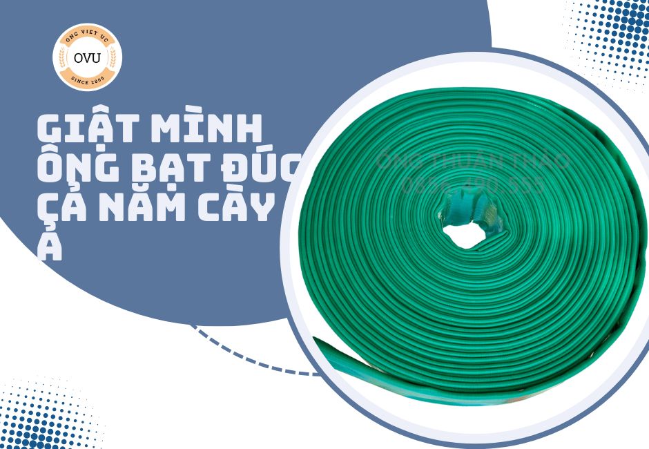 Giật mình ống bạt đúc cả năm cày ả
