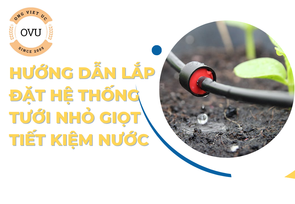 Hướng dẫn lắp đặt hệ thống tưới nhỏ giọt tiết kiệm nước