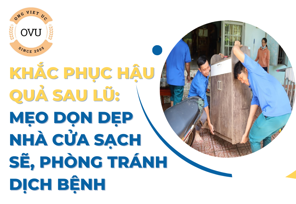 Khắc phục hậu quả sau lũ: Mẹo dọn dẹp nhà cửa sạch sẽ, phòng tránh dịch bệnh