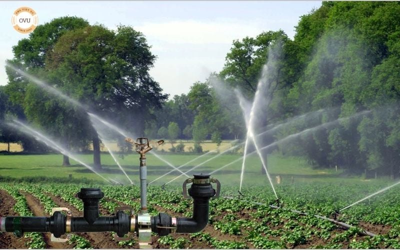 Đặc điểm kỹ thuật và cách sử dụng ống HDPE cho hệ thống tưới