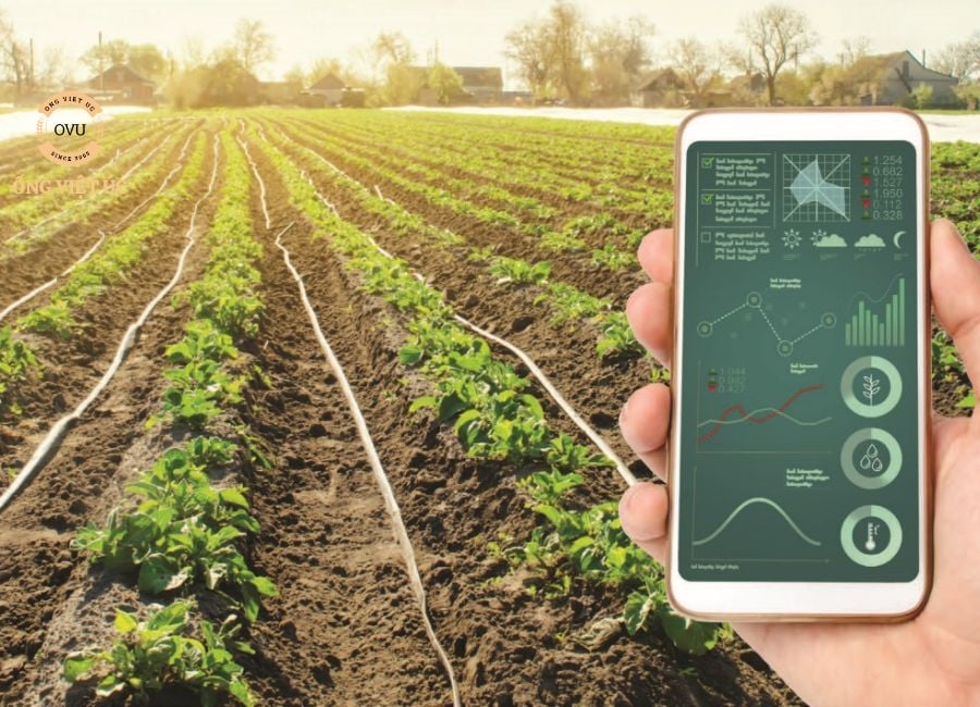 Ống Nhựa Dẻo Trong Hệ Thống Tưới Tiêu: Giải Pháp Tối Ưu Cho Nông Nghiệp