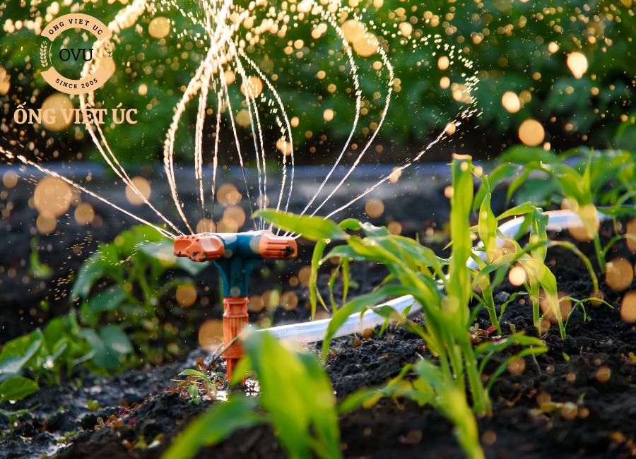 Ống nhựa chống rong rêu: Giải pháp cho nguồn nước sạch