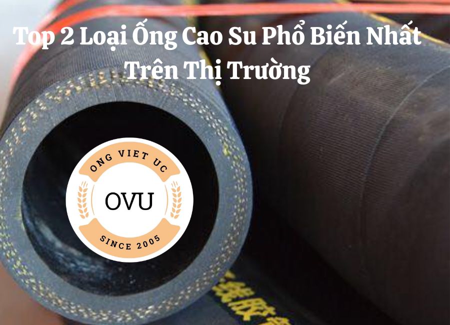 Top 2 Loại Ống Cao Su Phổ Biến Nhất Trên Thị Trường