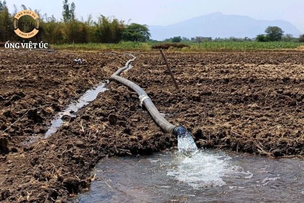 Hướng dẫn lắp đặt hệ thống ống PVC dẫn nước ruộng lúa
