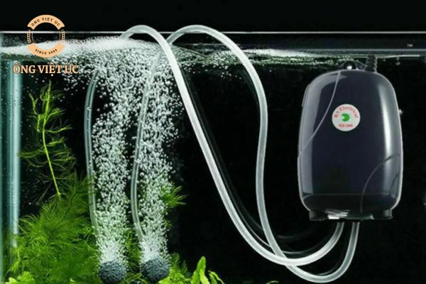 Ống sục khí - Giải pháp tối ưu cho hồ cá cảnh