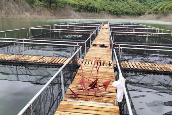 Chàng trai xứ Nghệ chế tạo nhựa HDPE thành chiếc lồng bè nuôi cá