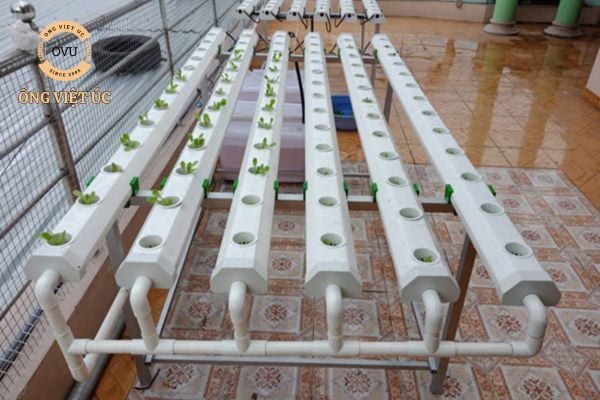 Cách làm ống nhựa trồng rau thủy canh đơn giản và hiệu quả