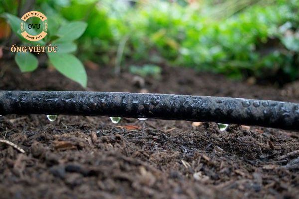 Cách sửa chữa ống tưới vườn bị rò rỉ nhanh chóng và đơn giản