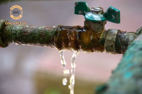 Cách sửa chữa ống tưới vườn bị rò rỉ nhanh chóng và đơn giản