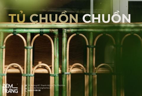 TỦ CHUỒN CHUỒN XANH- KHI CẢM HỨNG TRỞ THÀNH SÁNG TẠO