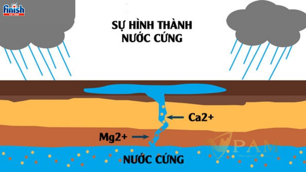 Nuoc-cung-vinh-cuu-co-chua-cac-ion-nao-co-doc-hai-khong-cach-lam-mem-nuoc-cung-vinh-cuu