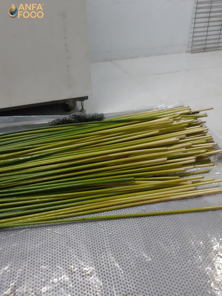 Ống hút cỏ bàng khô Anfafoco - Sản phẩm Xanh, Sạch và An tâm về chất lượng