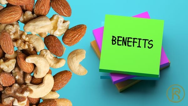 HẠT DINH DƯỠNG MIX – GIẢI PHÁP ĂN VẶT LÀNH MẠNH CHO MỌI LỨA TUỔI