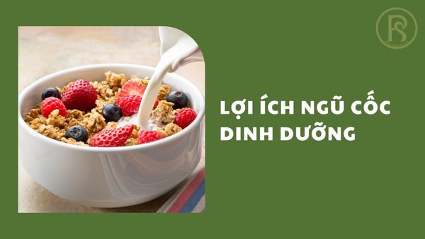 ngũ cốc dinh dưỡng