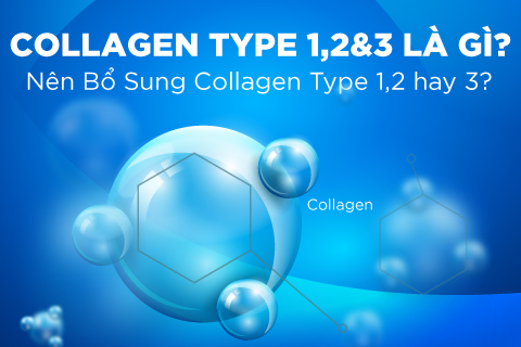 Collagen type 1,2&3 là gì? Nên sử dụng loại nào thì tốt cho cơ thể?