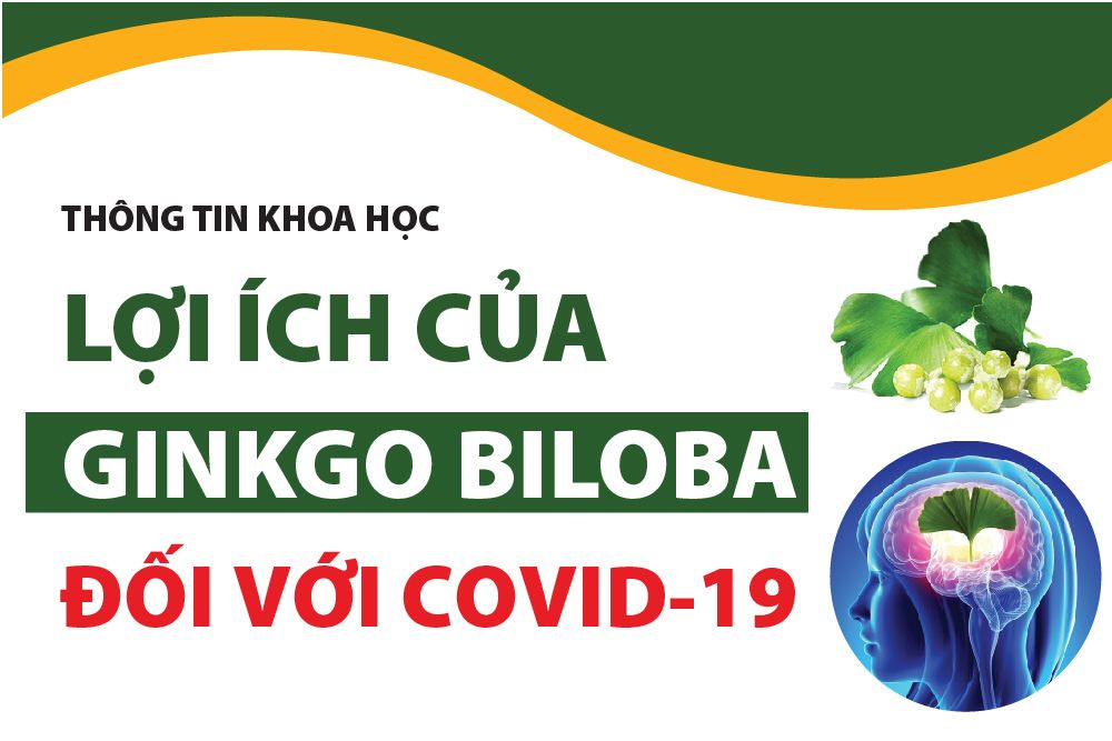 Lợi Ích Của Ginkgo Biloba Đối Với COVID-19 – Healthy Beauty Pharma Co.,LTD