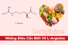 L-Arginine Là Gì? Những Điều Cần Biết Về L-Arginine