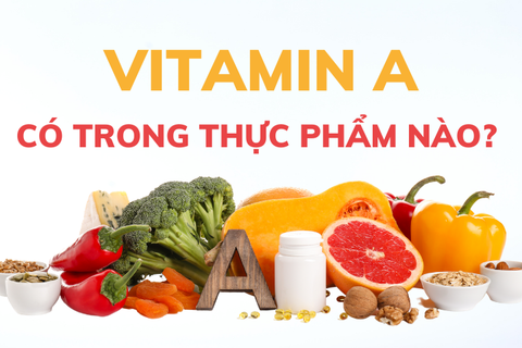 Vitamin A Có Trong Thực Phẩm Nào? Top 9 Loại Thực Phẩm Giàu Vitamin A