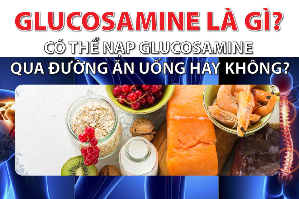 Glucosamine Là Gì? Glucosamine Có Trong Thực Phẩm Nào?