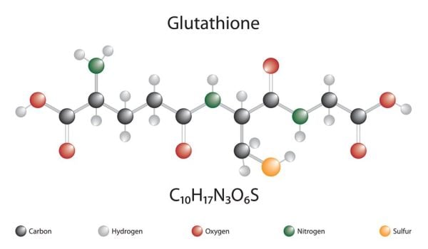 Thực phẩm giàu Glutathione
