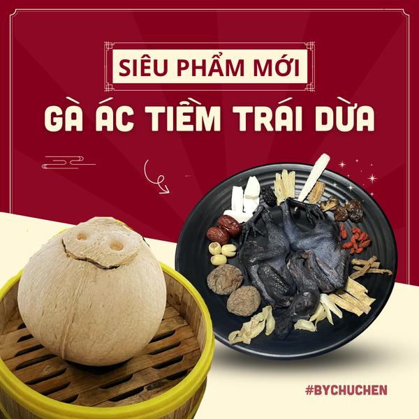 CHÚ CHEN RA MẮT SIÊU PHẨM MỚI | GÀ ÁC TIỀM TRÁI DỪA