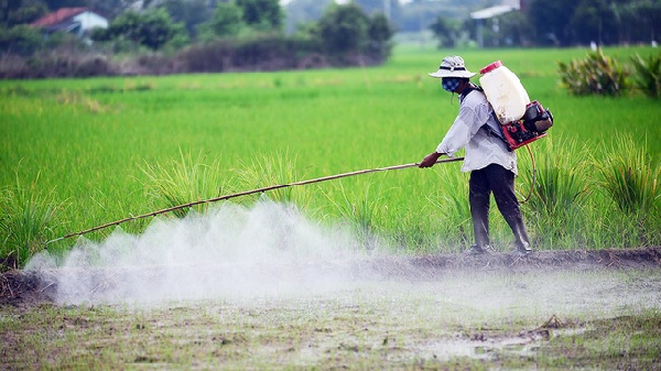 Brom được dùng làm thành phần cho các loại thuốc diệt côn trùng