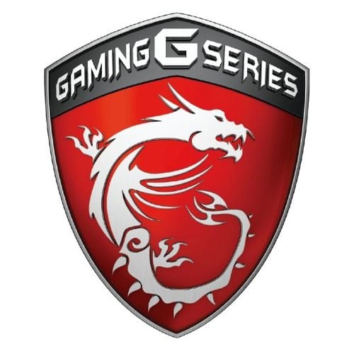 MSI GF