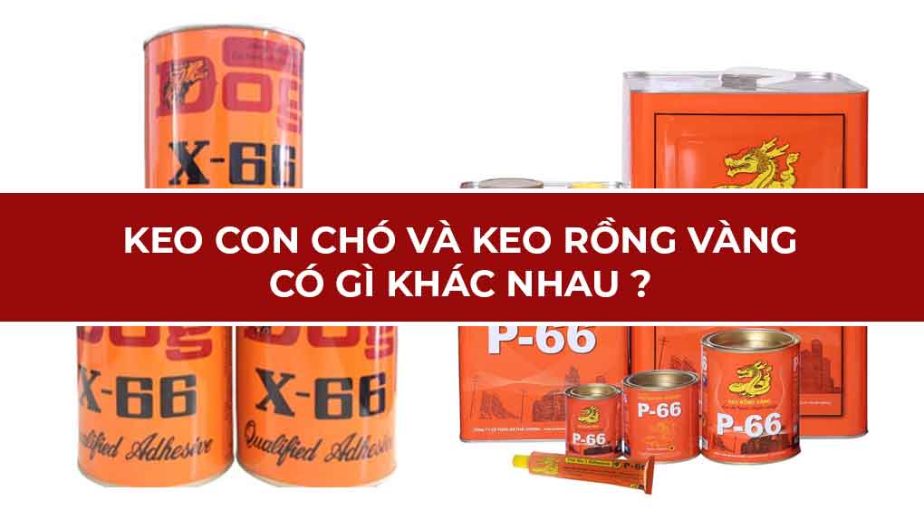 Keo con chó (Dog X-66) và keo rồng vàng (P66/P99) khác gì nhau?