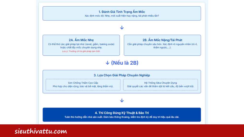 Quy trình xác định phương pháp xử lý ẩm mốc
