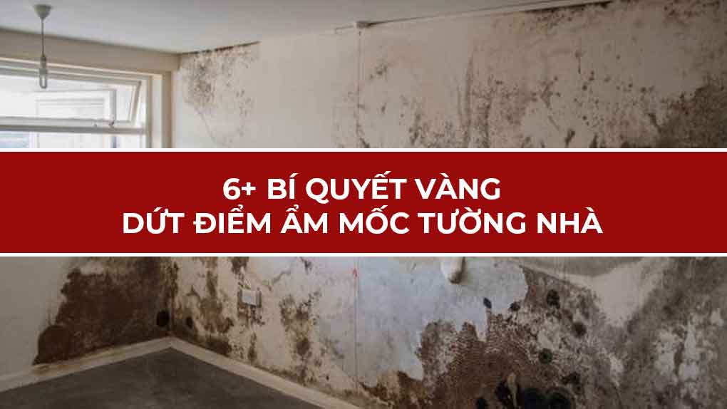 Bí quyết dứt điểm ẩm mốc