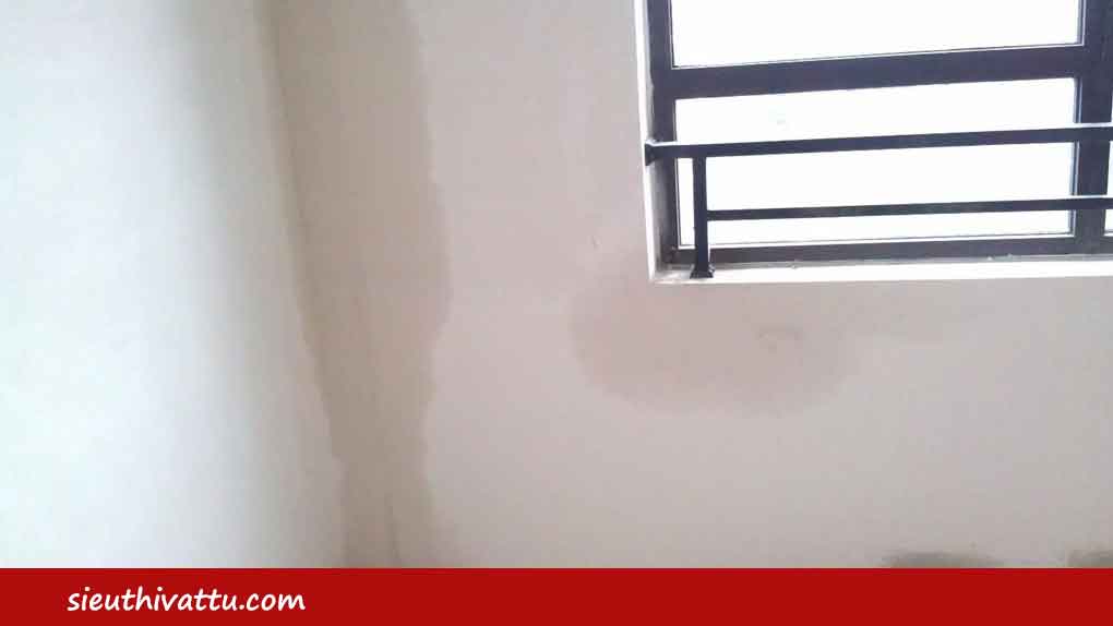 Mưa làm thấm nước