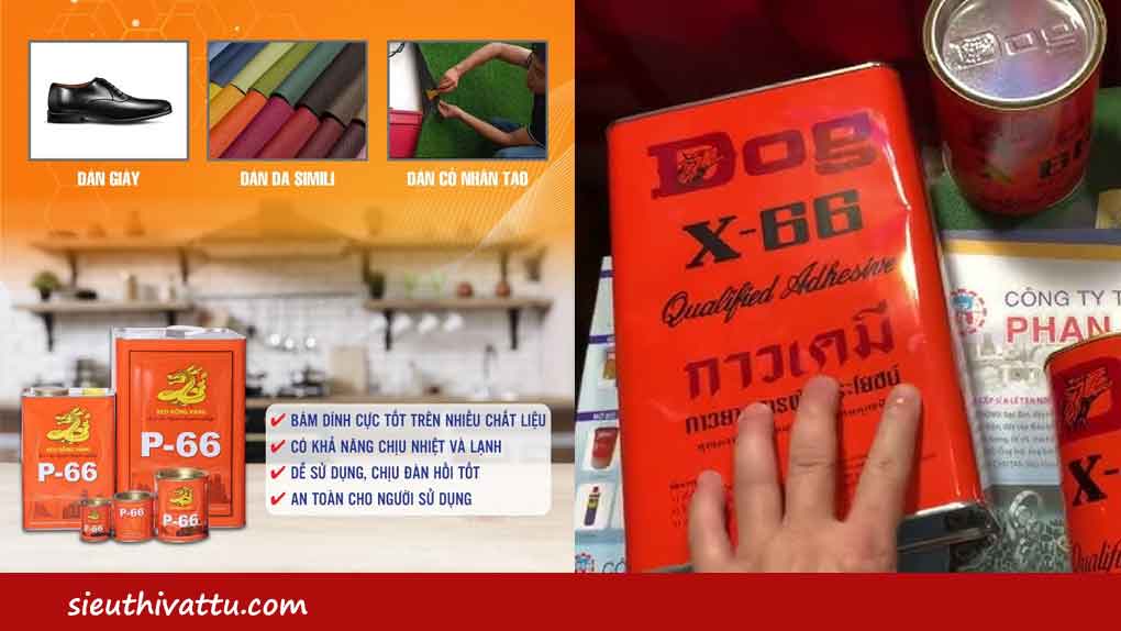 Nên sử dụng keo con chó hay keo rồng vàng