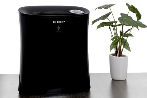 Cách chọn mua máy lọc không khí theo nhu cầu sử dụng