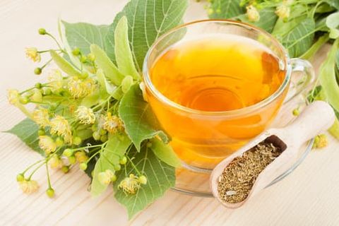 CÚC CHI CỔ HOA VÀNG _ NGUỒN DƯỢC LIỆU SẠCH TỪ TỪNG VÙNG QUÊ VIỆT NAM.