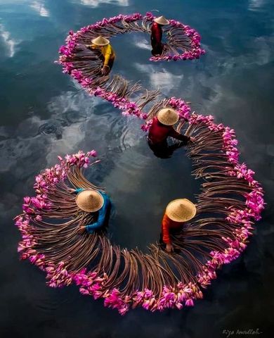 Mở đường xuất khẩu cho thương hiệu Việt ! Open the way to export for Vietnamese brands!