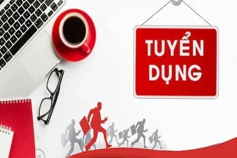 TUYỂN DỤNG NHÂN VIÊN KINH DOANH - LÀM VIỆC TẠI TP HCM