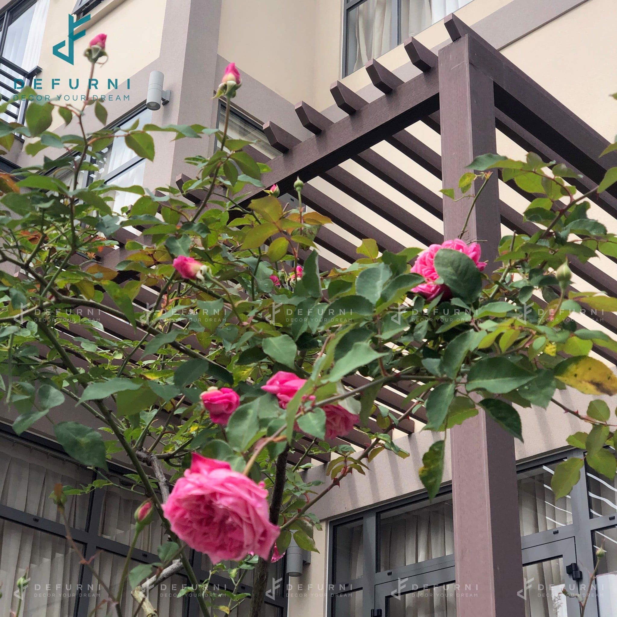 Giàn hoa Pergola, Lam chắn nắng - Anh Hào, TP. Đà Lạt, Lâm Đồng