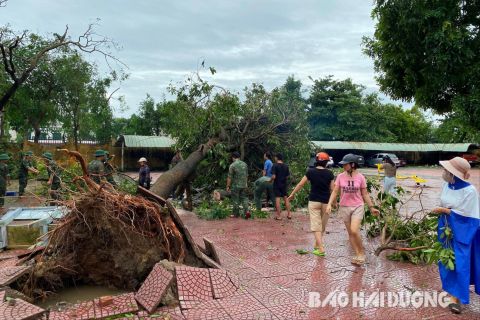 Sao kê MTTQ Việt Nam: Nét đẹp tương thân tương ái